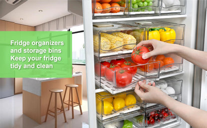 Fridge Organizer