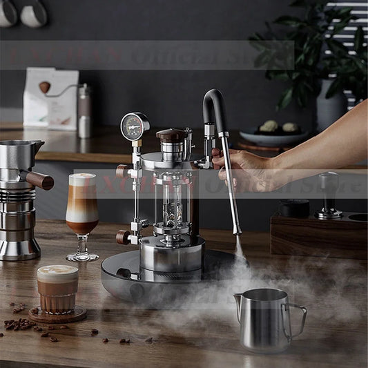 HomeWise Steam Milk Frother