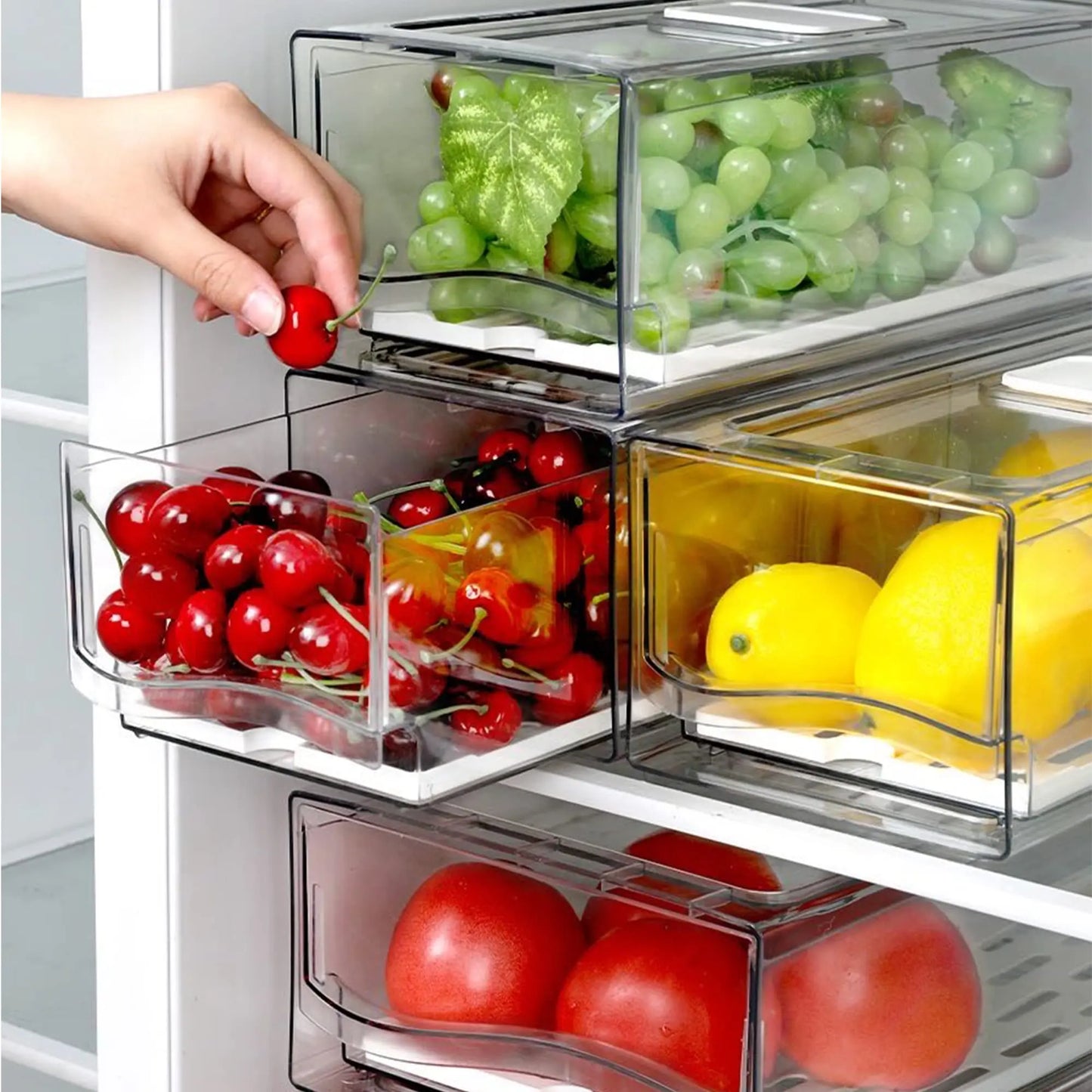 Fridge Organizer